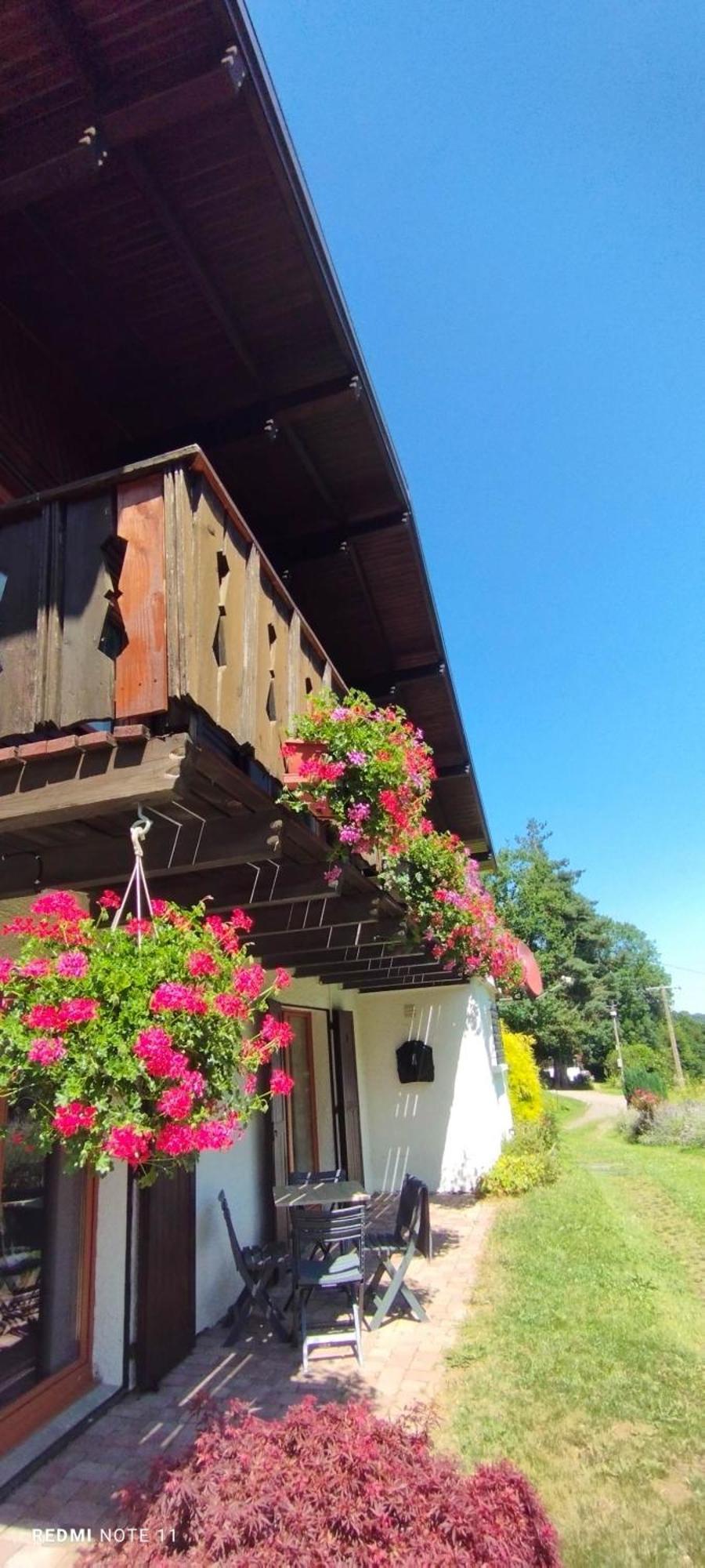 Chalet Au Bois Des Ecureuils Classe Trois Etoiles. Muhlbach-sur-Munster المظهر الخارجي الصورة