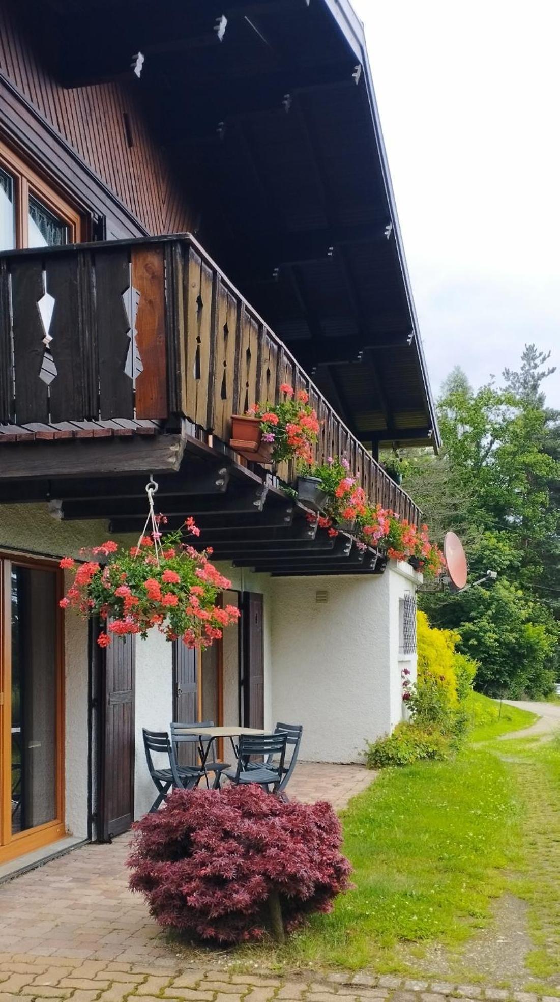 Chalet Au Bois Des Ecureuils Classe Trois Etoiles. Muhlbach-sur-Munster المظهر الخارجي الصورة